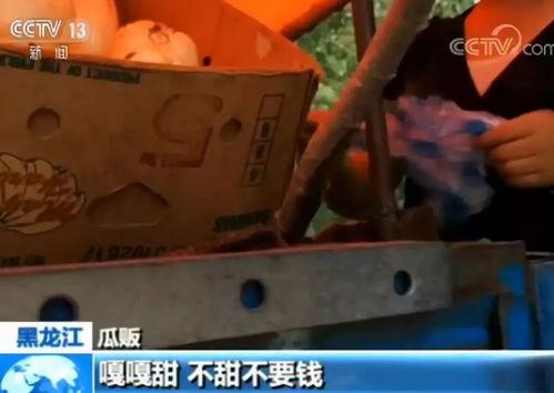 嘎嘎吃瓜的视频免费观看,免费观看热门视频，揭秘娱乐圈幕后故事